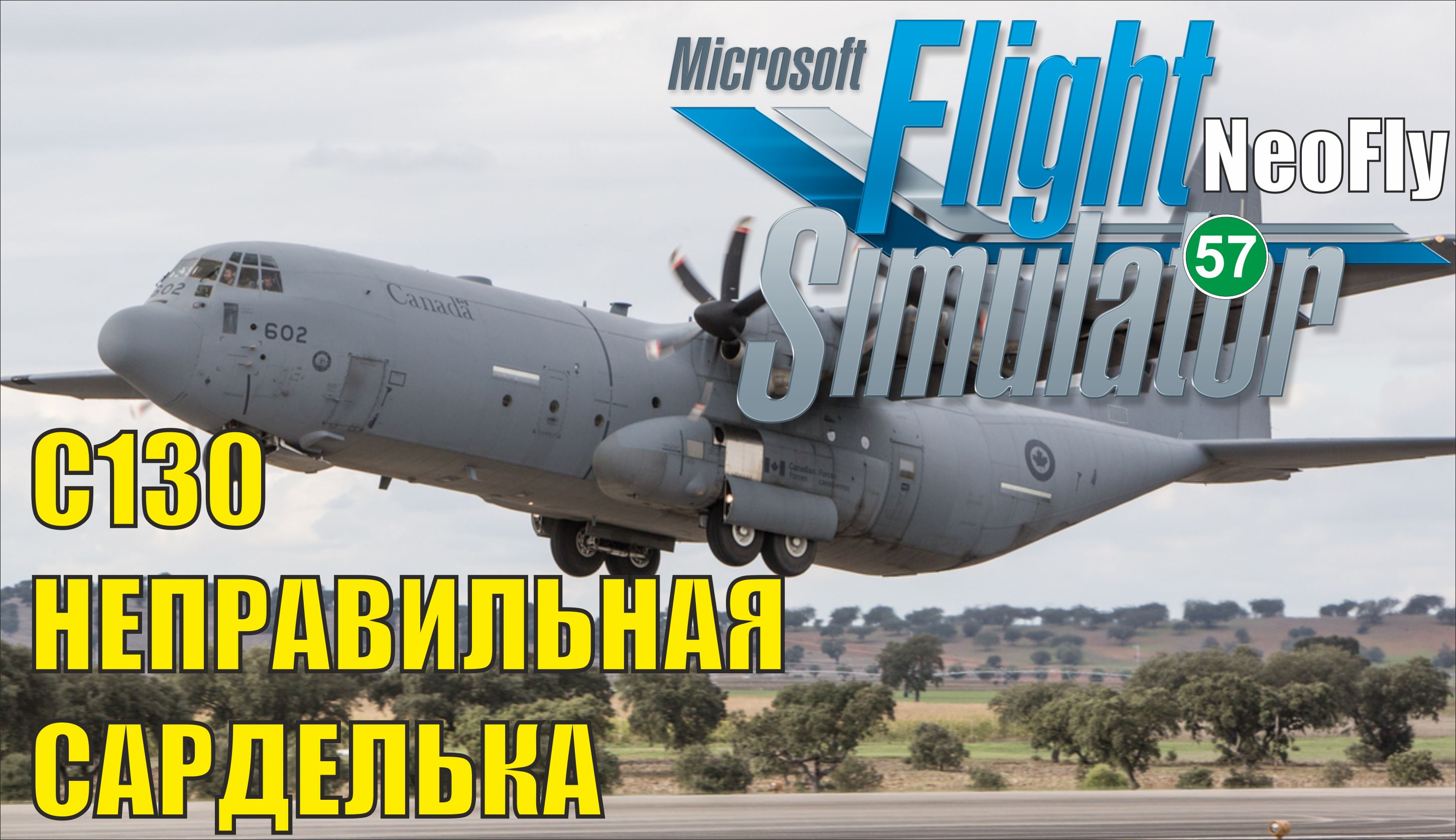 Microsoft Flight Simulator 2020 (NeoFly)  - C130 Неправильная сарделька