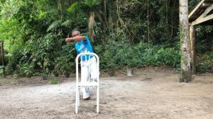 Mestre Carvoeiro - Capoeira online, "Aprendendo a Ensinar"