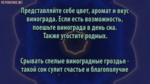 К чему снится Виноград сонник, толкование сна