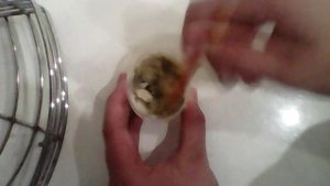Что будит если смешать крахмал с маслам