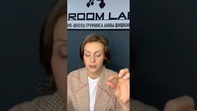 Как грамотно донести до владельца особенности его собаки⁉️