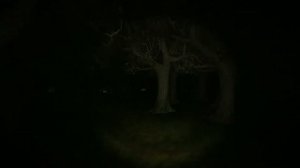 Swamp Sim. Бегаю по тёмному лесу от Шрека. Полное прохождение.