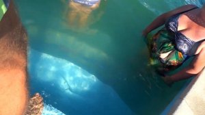 Термальные источники Адыгеи / #69