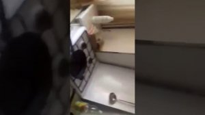 Что будет если в сковороду с кипящим маслом залить воды(не повторять) 18+