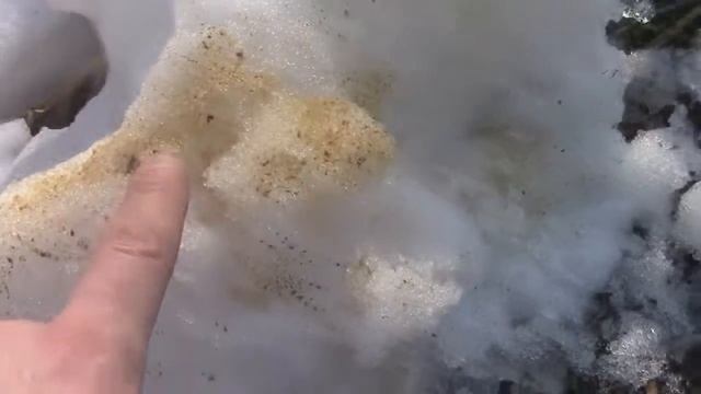 Бобровые метки на снегу, весна 2018 смотреть онлайн