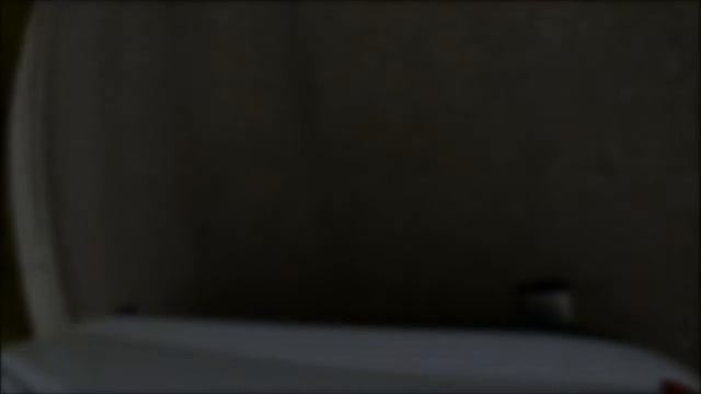 Ford Mondeo 2.5T Wolf GoPro смотреть онлайн