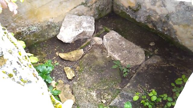 Урочище дольмены Кизинка - Краснодарский Край смотреть онлайн