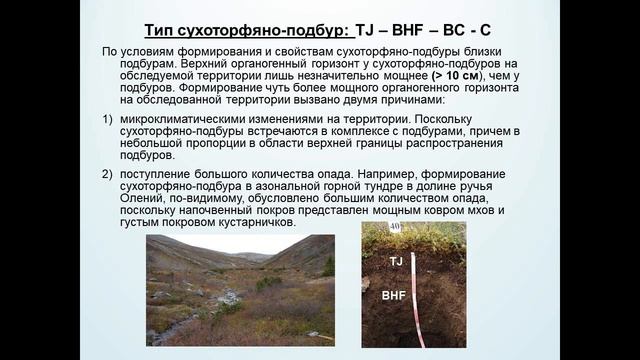 Разнообразие и особенности почв Лапландского государственного природного биосферного заповедника смотреть онлайн