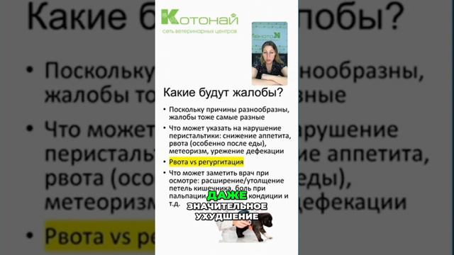 Увеличение петель кишечника | симптомы и лечение.