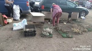 Птичий рынок в Малоярославце.