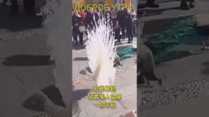 ПОЛЕТ И ТАНЕЦ ПАВЛИНА...