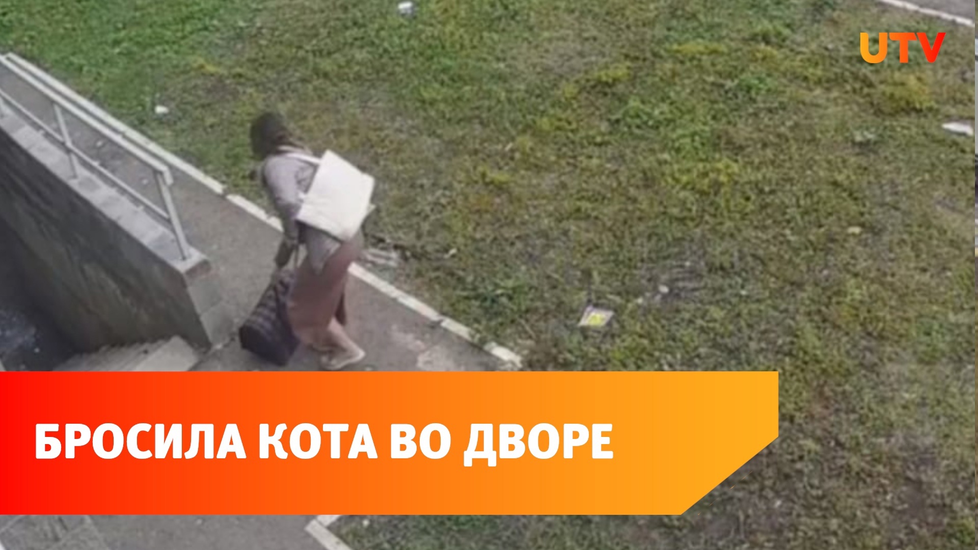 женщина выкинула кота. кошку выбросили из окна. кража цветов в саду банбана. женщина выкинула кота. кошку выбросили из окна.