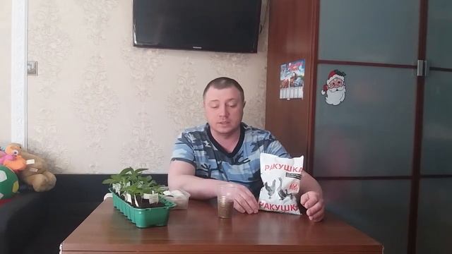 Ракушка...Супер удобрение!!!!