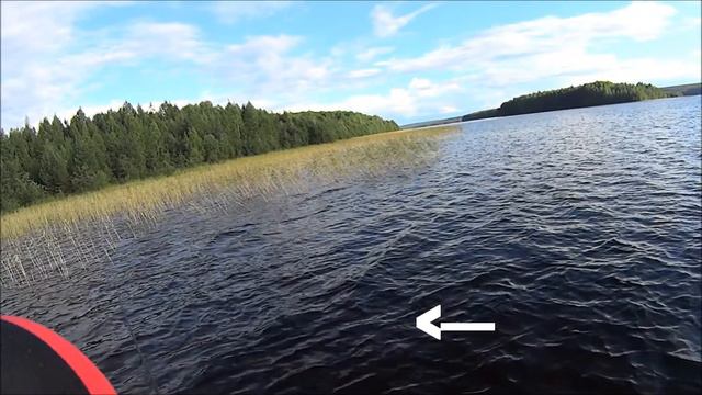 Lucky Craft Slender Pointer 97 MR смотреть онлайн