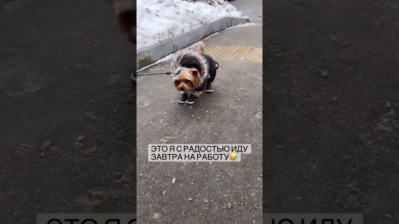 это Я с радостью иду на работу