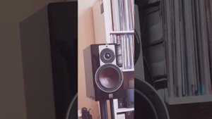 Dali Rubicon 2  test