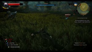 The Witcher 3. Как найти меч Гарваль!
