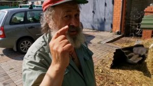 Что в русской деревне знают про Китай: "наши своеобразные друзья" - отец деда Васи там побывал