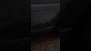 Стук гидрокомпенсаторов фольксваген гольф.