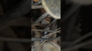 Замена масла в коробке ВАЗ 2108