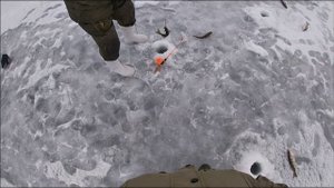 Рыбалка на Камском устье. День третий.