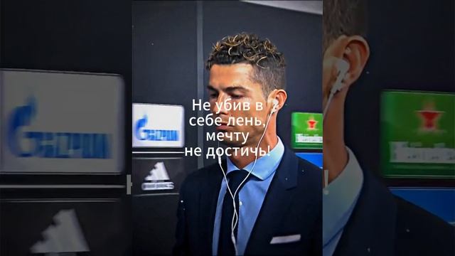 Цитата смотреть онлайн