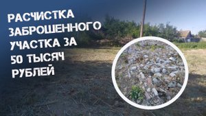 Расчистка заброшенного участка за 50 тысяч рублей. Превращение участка в чистое поле