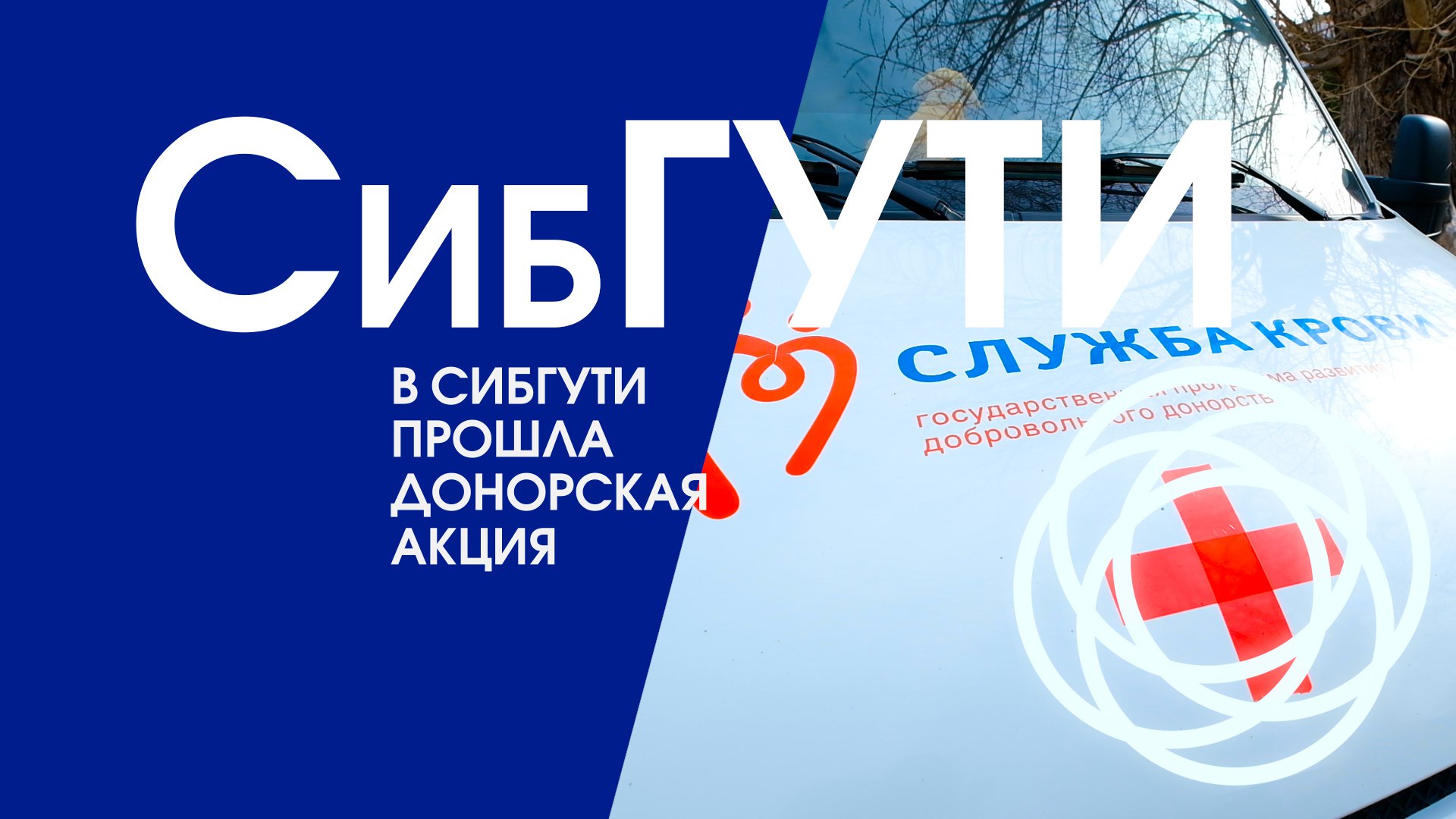 В СибГУТИ прошла акция "Я-донор!" смотреть онлайн