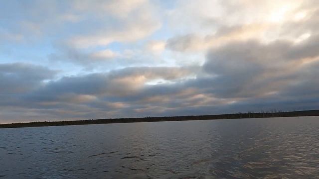 Охота на северную утку. Готовлю болото для встречи весеннего ГУСЯ. смотреть онлайн