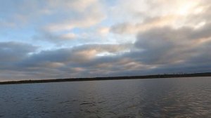 Охота на северную утку. Готовлю болото для встречи весеннего ГУСЯ.