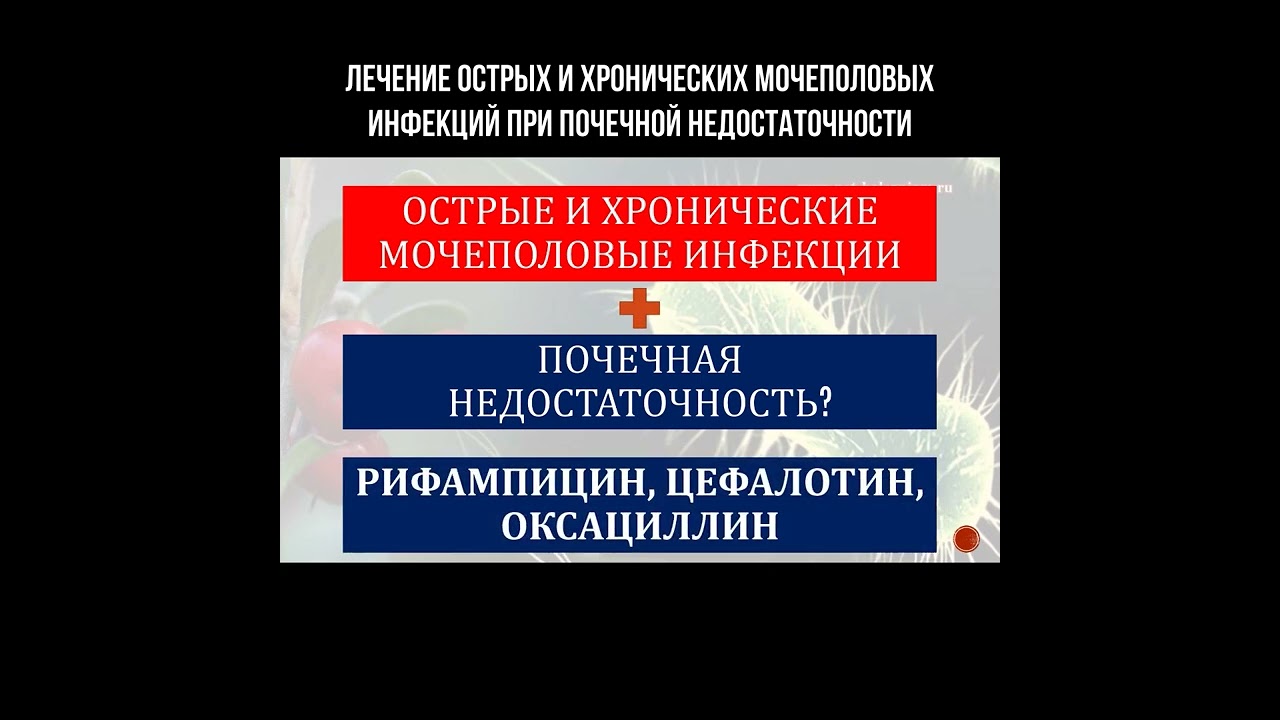 Лечение острых и хронических мочеполовых инфекций при почечной недостаточности смотреть онлайн