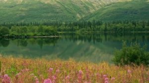 Лапландский заповедник.Мурманская область. Россия