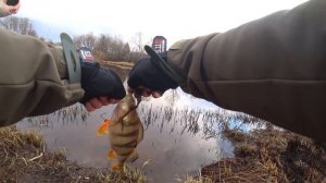 Ловим КРУПНОГО ОКУНЯ  с берега на микроджиг