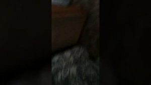 КАК РАЗРУБИТЬ ПИЛКОЙ КОСТЬ