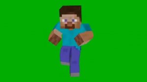 Стив флексит