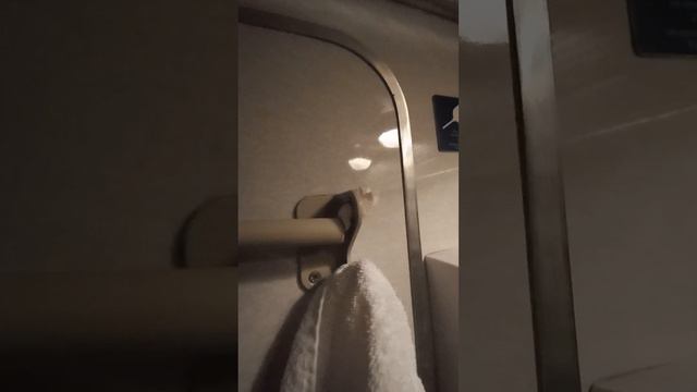 Как тебе такое Илон Маск? РЖД Поезд Кострома-Москва #ржд #поезд #туалет #изобретения #москва смотреть онлайн