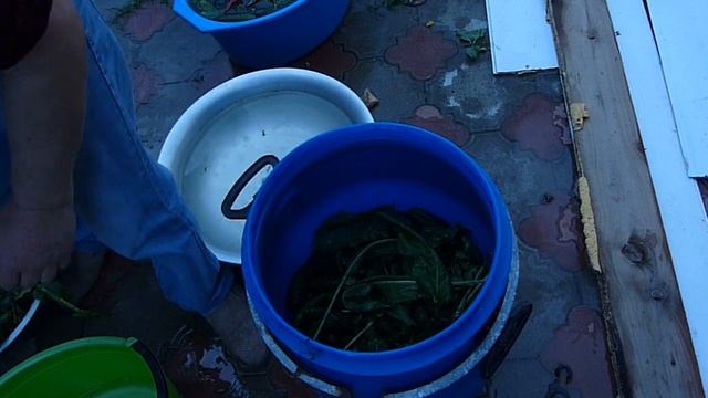 Засолка огурцов и помидор в бочках