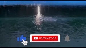 Вечерний вид на пруд. Пруд в отделке Лайнером