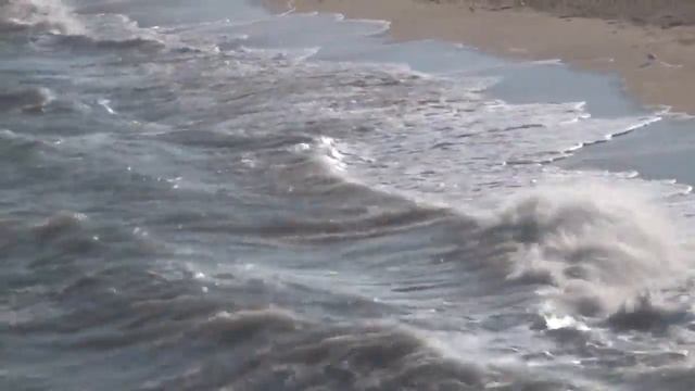 Наполняем силой органы огня. Канал Медитация Релаксация. Стешенко А. Ю. смотреть онлайн