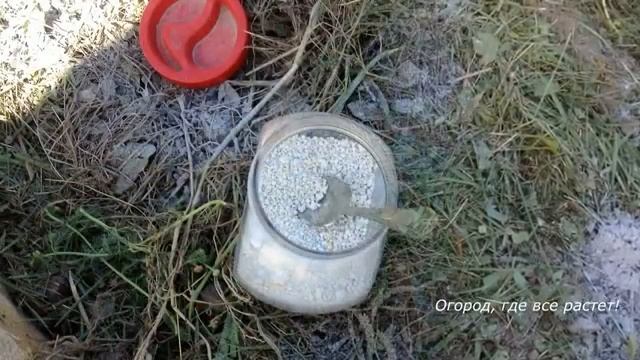 Как сделать урожайную грядку-короб.mp4 смотреть онлайн