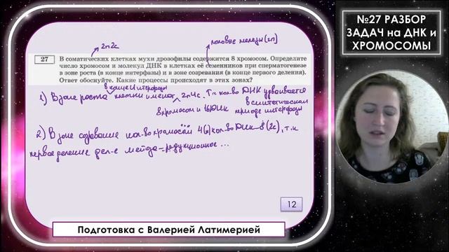 №27 Разбор ВСЕХ типов задач на ДНК и хромосомы!