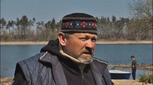 Нерест судака