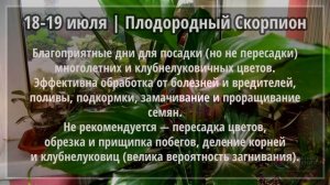 Июль 2021 г. | Лунный календарь комнатных цветов