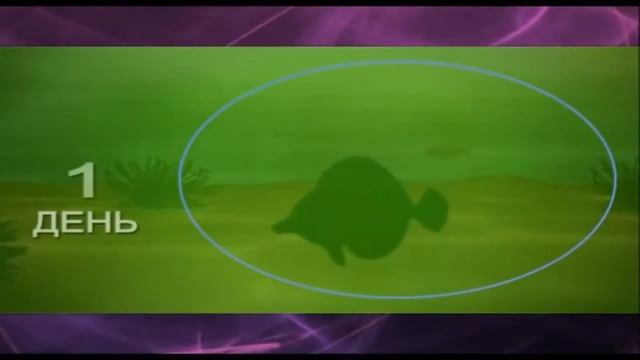 ПРЕЗЕНТАЦИЯ КОМПАНИИ NSP МИКС смотреть онлайн