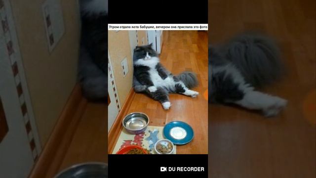 Самое интересное видео смотреть онлайн