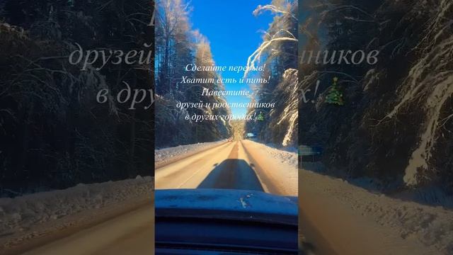 Новогодние приключения