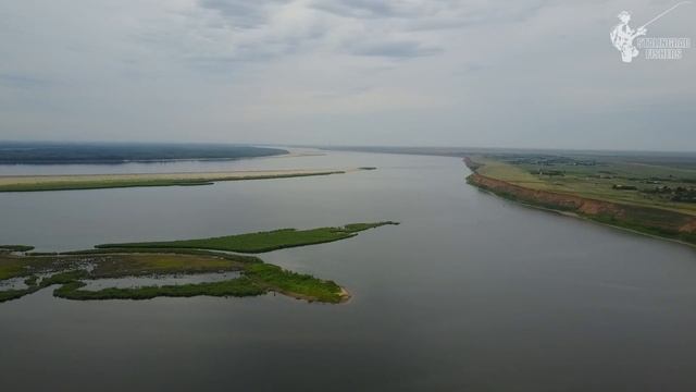 Эти приманки реально творят чудеса! Вот как мы ловили трофеи на соревнованиях смотреть онлайн