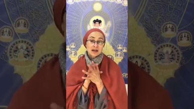Лекция на тему "Ахимса", - санньяси Адимата Гири. Движение "Йоги за Мир"