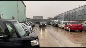 Subaru Forester SG5 EJ205 2005 C611357