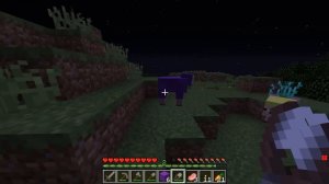 🙀МАЙНКРАФТ НО ВЫЖИВАНИЕ В МИРЕ КЭТНЭПА! ШЕДИ ЛЕСКА И НУБИК ПРОТИВ СИД MINECRAFT